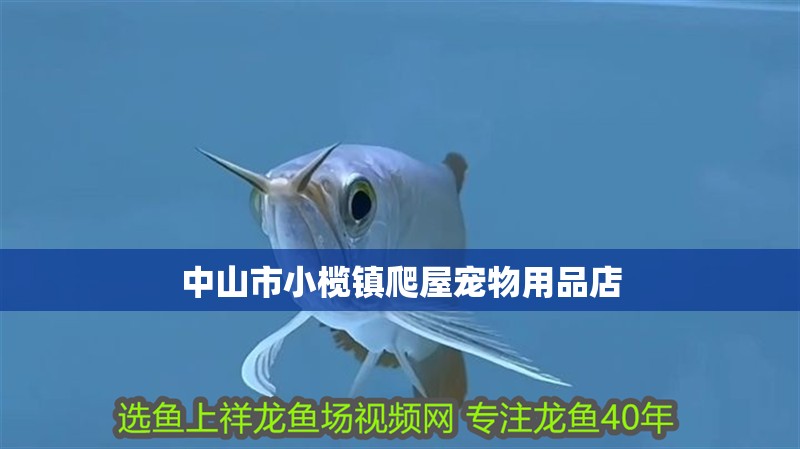 <strong><mark>中山</mark></strong>市小欖鎮(zhèn)爬屋寵物用品店