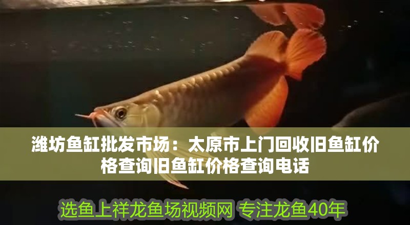 濰坊魚缸批發市場：太原市上門回收舊魚缸價格查詢舊魚缸價格查詢電話
