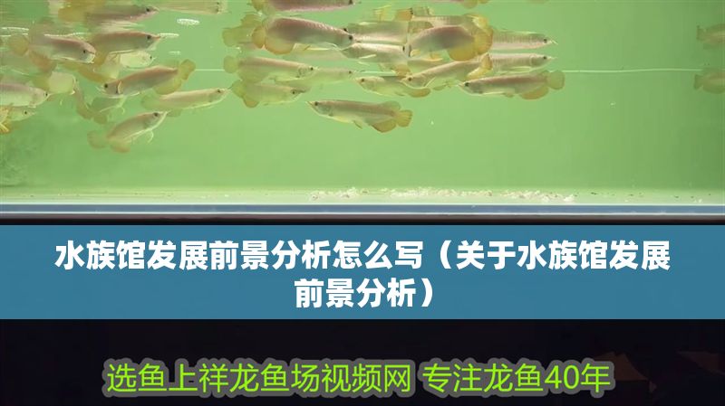 水族館發展前景分析怎么寫（關于水族館發展前景分析）