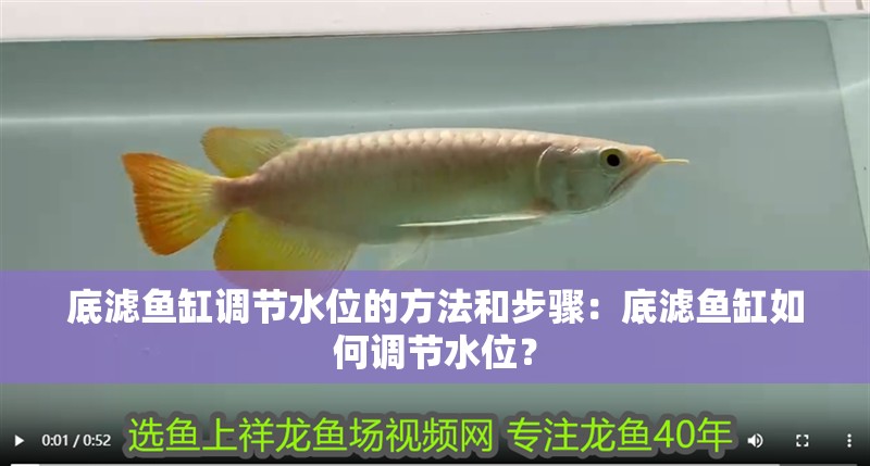 底濾魚缸調節水位的方法和步驟：底濾魚缸如何調節水位？
