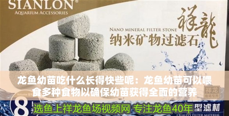 龍魚幼苗吃什么長得快些呢：龍魚幼苗可以喂食多種食物以確保幼苗獲得全面的營養(yǎng)