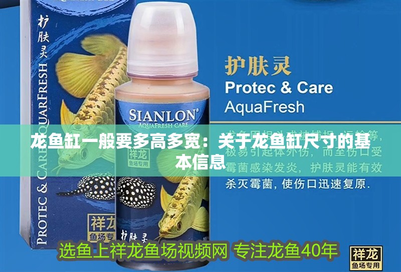 龍魚缸一般要多高多寬：關于龍魚缸尺寸的基本信息