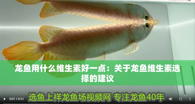 龍魚用什么維生素好一點：關于龍魚維生素選擇的建議