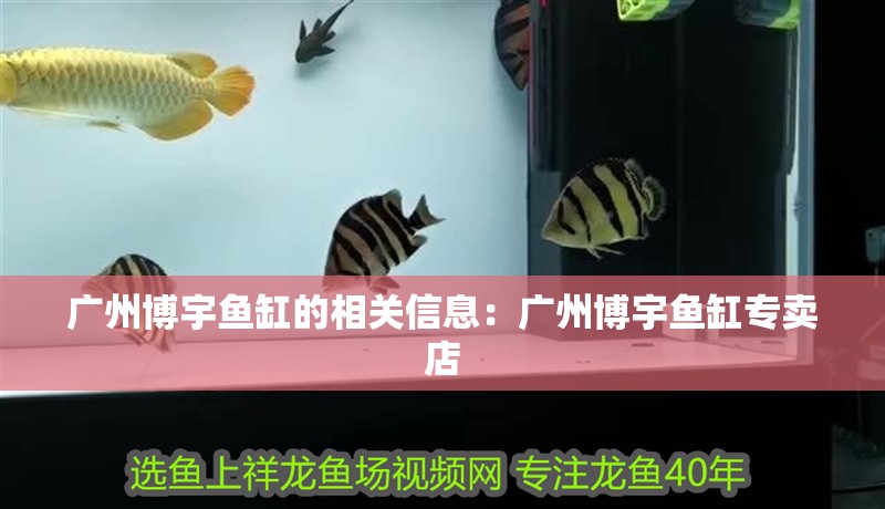 廣州博宇魚缸的相關信息：廣州博宇魚缸專賣店