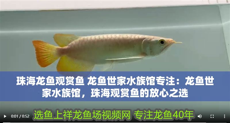 珠海龍魚觀賞魚 龍魚世家水族館專注：龍魚世家水族館，珠海觀賞魚的放心之選