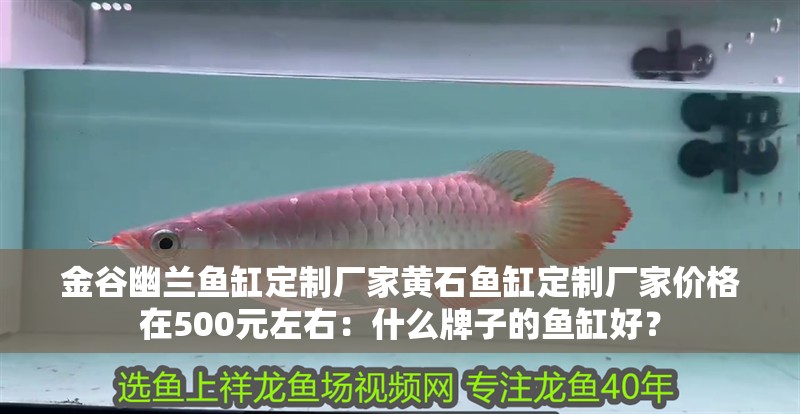 金谷幽蘭魚缸定制廠家黃石魚缸定制廠家價格在500元左右：什么牌子的魚缸好？