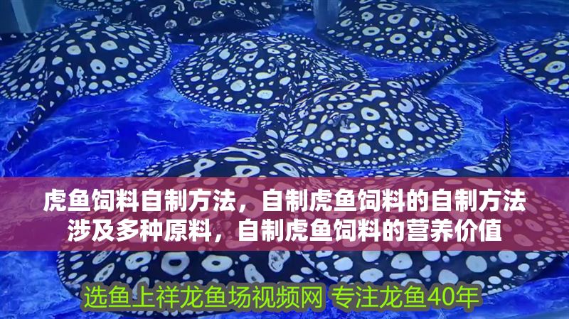 虎魚飼料自制方法，自制虎魚飼料的自制方法涉及多種原料，自制虎魚飼料的營養價值