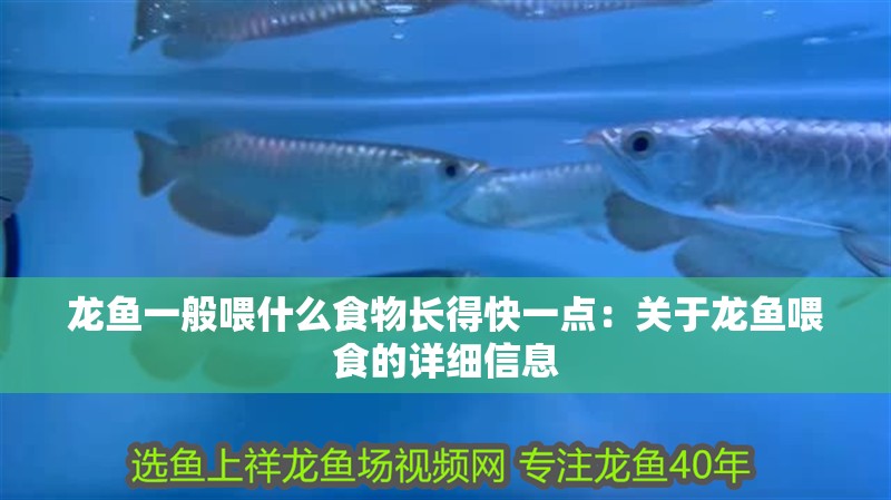 龍魚一般喂什么食物長得快一點：關于龍魚喂食的詳細信息