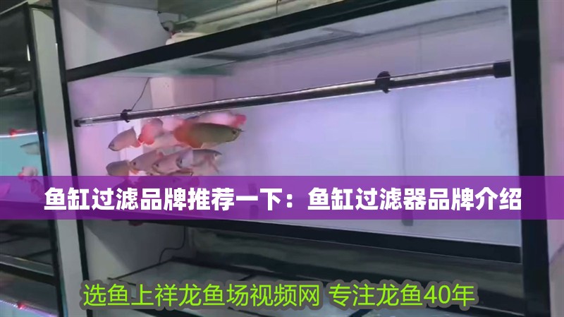 魚缸過濾品牌推薦一下：魚缸過濾器品牌介紹