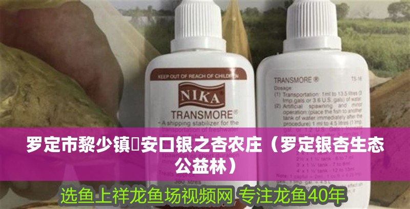 羅定市黎少鎮榃安口銀之杏農莊（羅定銀杏生態公益林）