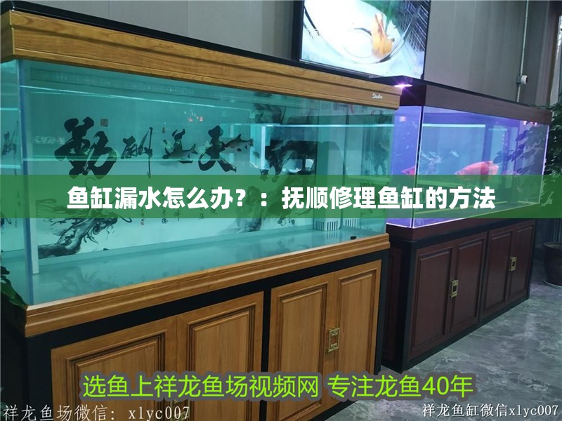 魚缸漏水怎么辦？：撫順修理魚缸的方法