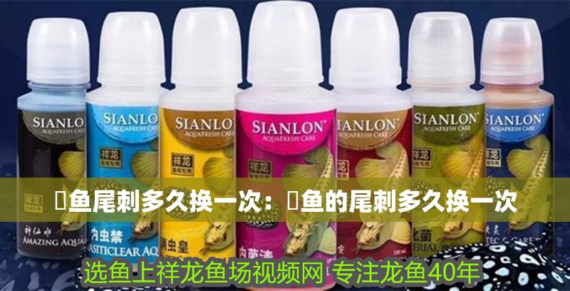 魟魚尾刺多久換一次:魟魚的尾刺多久換一次 魟魚百科 第2張 魟魚尾刺多久換一次:魟魚的尾刺多久換一次 魟魚尾刺多久換一次:魟魚的尾刺多久換一次 魟魚百科 第2張