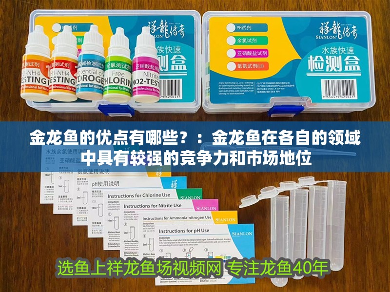 金龍魚的優點有哪些？：金龍魚在各自的領域中具有較強的競爭力和市場地位