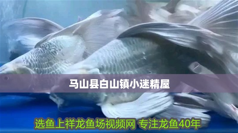 馬山縣<strong><mark>白山</mark></strong>鎮小迷精屋