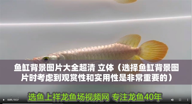魚缸背景圖片大全超清 立體（選擇魚缸背景圖片時(shí)考慮到觀賞性和實(shí)用性是非常重要的）