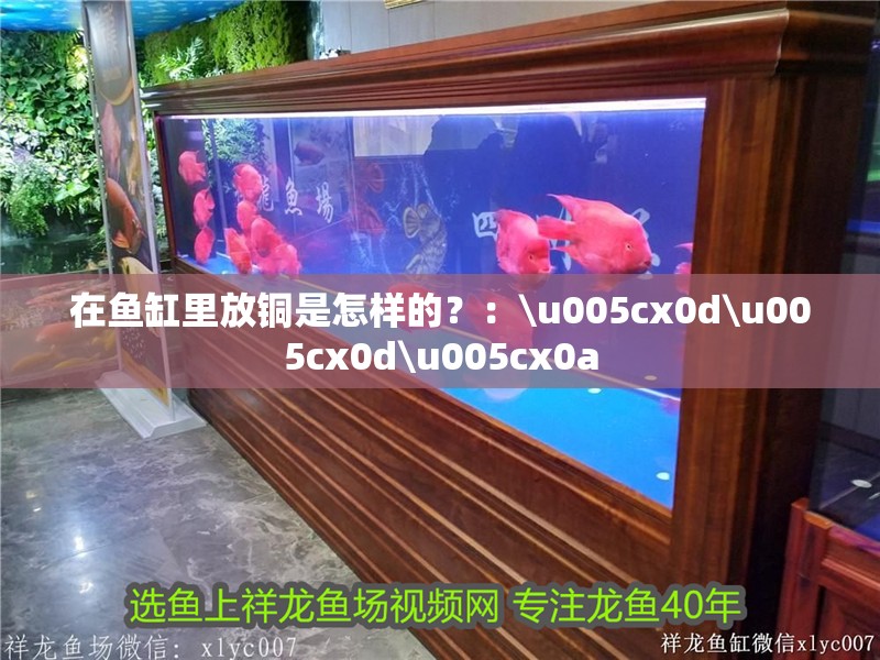 在魚缸里放銅是怎樣的？：\u005cx0d\u005cx0d\u005cx0a