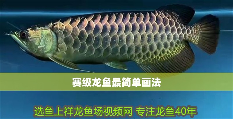賽級(jí)龍魚最簡單畫法