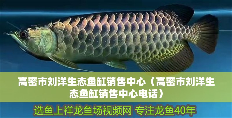 高密市劉洋生態魚缸銷售中心（高密市劉洋生態魚缸銷售中心電話）
