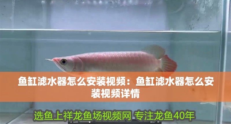 魚缸濾水器怎么安裝視頻：魚缸濾水器怎么安裝視頻詳情 魚缸濾水器怎么安裝視頻：魚缸濾水器怎么安裝視頻詳情 魚缸百科
