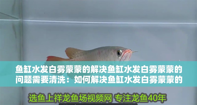 魚缸水發(fā)白霧蒙蒙的解決魚缸水發(fā)白霧蒙蒙的問題需要清洗：如何解決魚缸水發(fā)白霧蒙蒙的問題