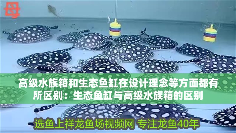 高級(jí)水族箱和生態(tài)魚缸在設(shè)計(jì)理念等方面都有所區(qū)別：生態(tài)魚缸與高級(jí)水族箱的區(qū)別