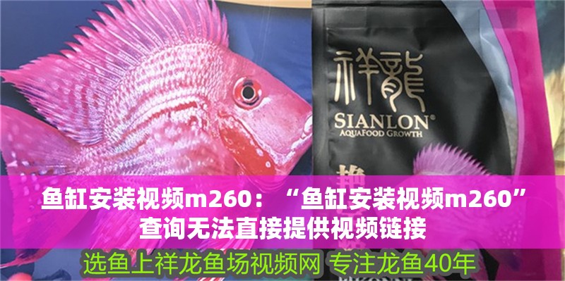 魚缸安裝視頻m260：“魚缸安裝視頻m260”查詢無法直接提供視頻鏈接