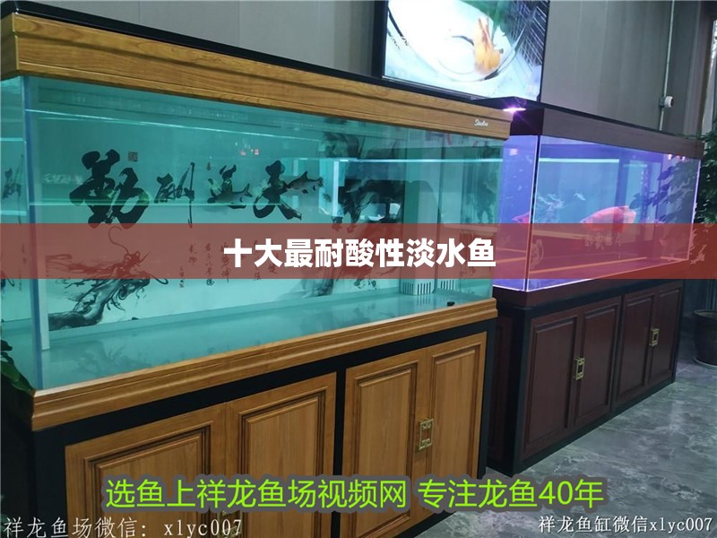 十大最耐酸性淡水魚