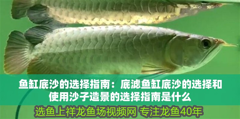 魚缸底沙的選擇指南：底濾魚缸底沙的選擇和使用沙子造景的選擇指南是什么