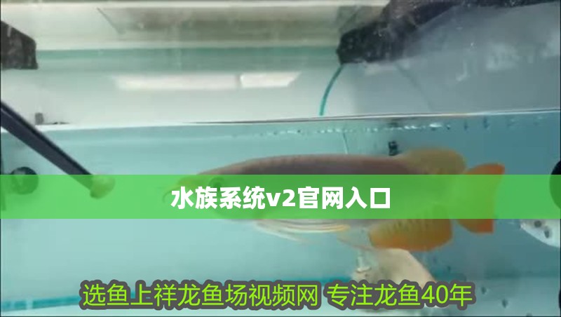 水族系統v2官網入口