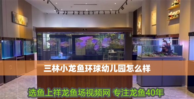 三林小龍魚環球幼兒園怎么樣