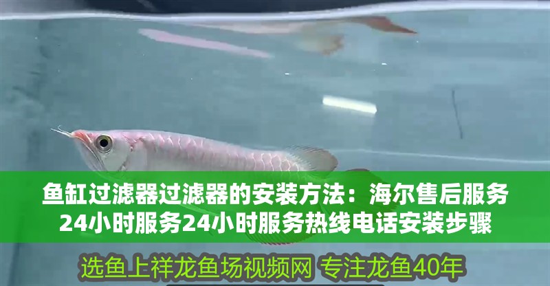 魚缸過濾器過濾器的安裝方法：海爾售后服務(wù)24小時(shí)服務(wù)24小時(shí)服務(wù)熱線電話安裝步驟