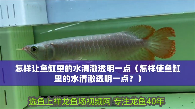 怎樣讓魚缸里的水清澈透明一點（怎樣使魚缸里的水清澈透明一點？）