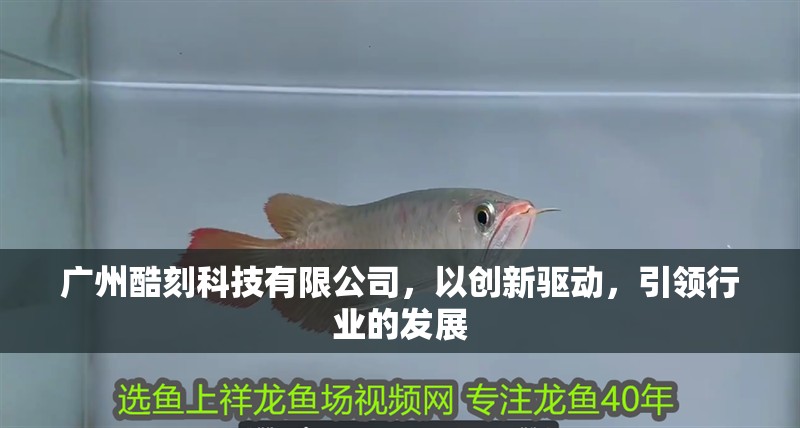 廣州酷刻科技有限公司，以創新驅動，引領行業的發展