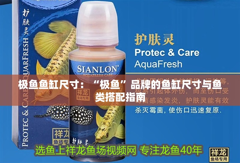 極魚魚缸尺寸：“極魚”品牌的魚缸尺寸與魚類搭配指南