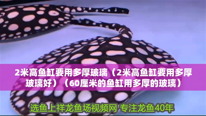 2米高魚缸要用多厚玻璃（2米高魚缸要用多厚玻璃好）（60厘米的魚缸用多厚的玻璃）