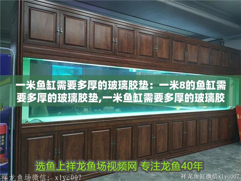 一米魚缸需要多厚的玻璃膠墊：一米8的魚缸需要多厚的玻璃膠墊,一米魚缸需要多厚的玻璃膠墊