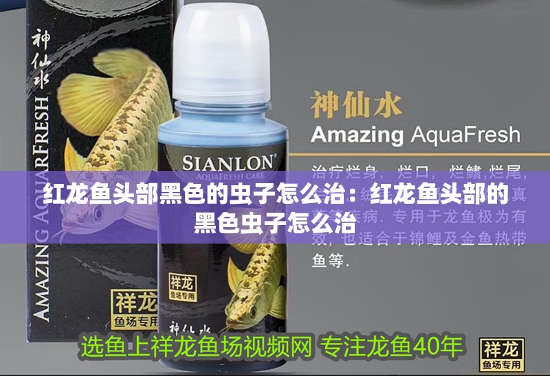 紅龍魚(yú)頭部黑色的蟲(chóng)子怎么治：紅龍魚(yú)頭部的黑色蟲(chóng)子怎么治