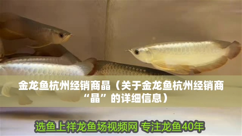 金龍魚杭州經銷商晶（關于金龍魚杭州經銷商“晶”的詳細信息）