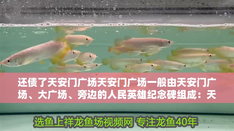 還債了天安門廣場天安門廣場一般由天安門廣場、大廣場、旁邊的人民英雄紀念碑組成：天安門廣場、頤和園、天安門廣場、東方明珠廣播電視塔