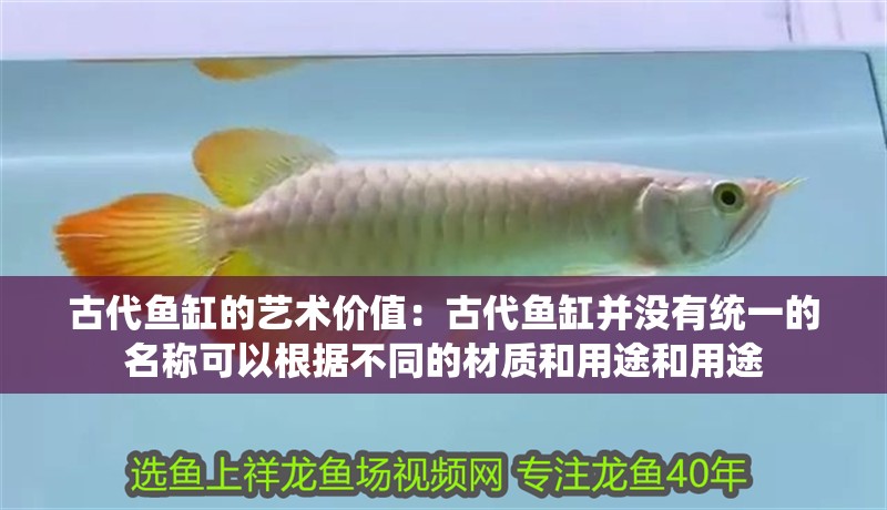 古代魚缸的藝術價值：古代魚缸并沒有統一的名稱可以根據不同的材質和用途和用途