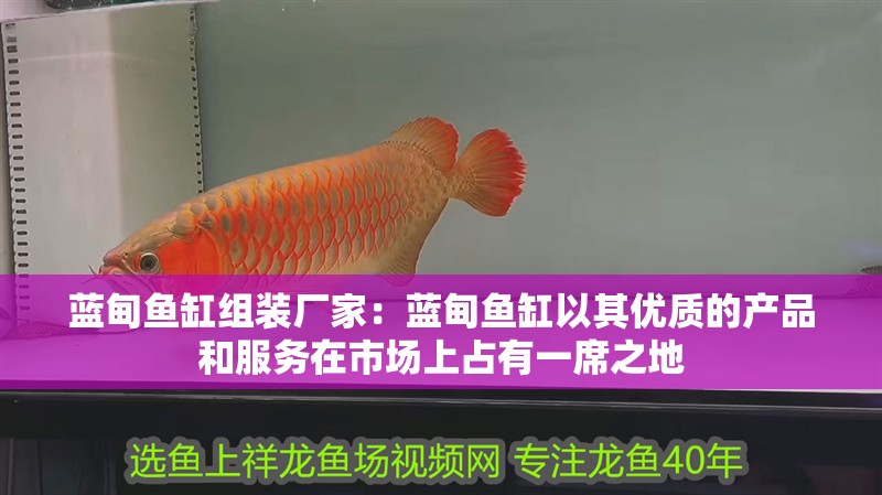 藍甸魚缸組裝廠家：藍甸魚缸以其優質的產品和服務在市場上占有一席之地
