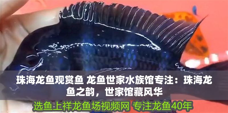 <strong><mark>珠海</mark></strong>龍魚觀賞魚 龍魚世家水族館專注：<strong><mark>珠海</mark></strong>龍魚之韻，世家館藏風華