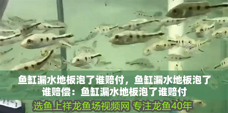 魚缸漏水地板泡了誰賠付，魚缸漏水地板泡了誰賠償：魚缸漏水地板泡了誰賠付
