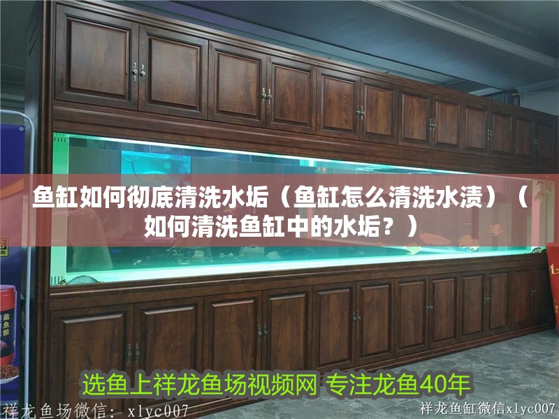 魚缸如何徹底清洗水垢（魚缸怎么清洗水漬）（如何清洗魚缸中的水垢？）