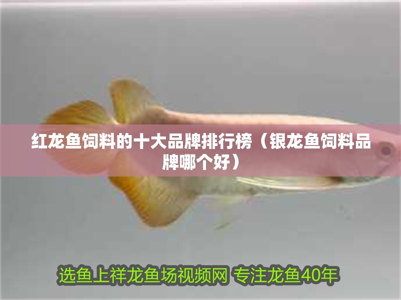 紅龍魚飼料的十大品牌排行榜（銀龍魚飼料品牌哪個好）