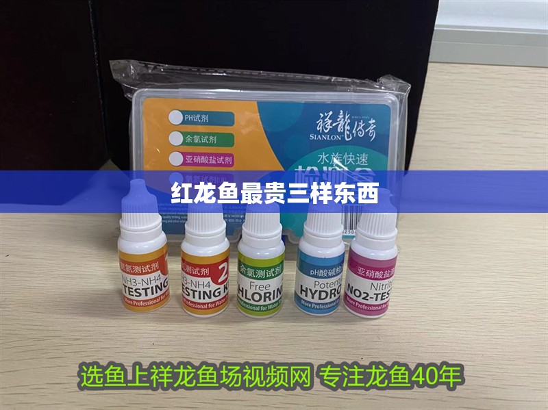 紅龍魚最貴三樣東西