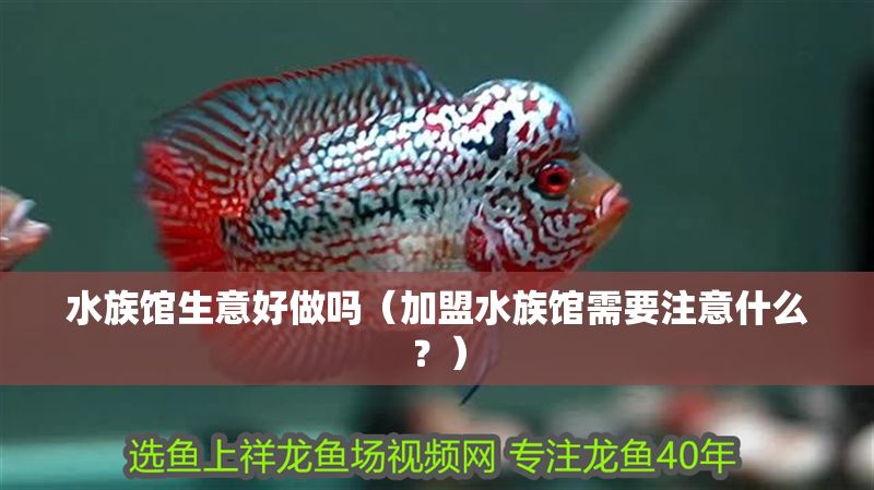 水族館生意好做嗎（加盟水族館需要注意什么？）