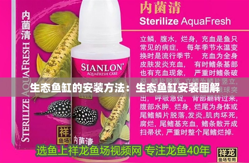 生態魚缸的安裝方法：生態魚缸安裝圖解