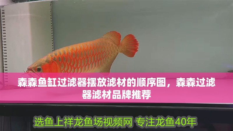 森森魚缸過濾器擺放濾材的順序圖，森森過濾器濾材品牌推薦