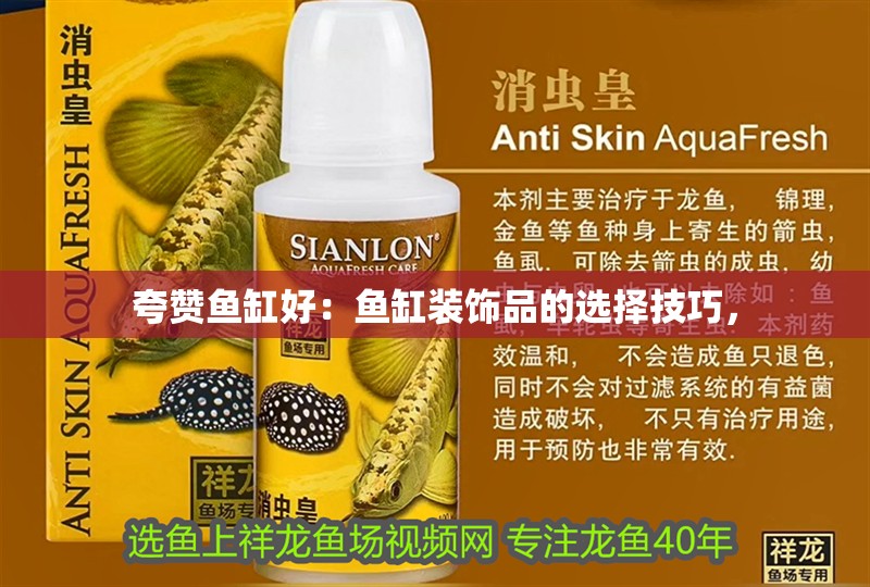 夸贊魚缸好：魚缸裝飾品的選擇技巧，